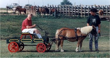 Copper Crest Riding Therapy
                                      Program®