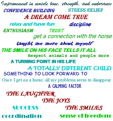 Copper Crest Therapy Program
                                          Testimonial